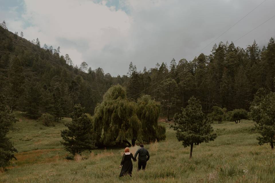 Silvia & Daniel