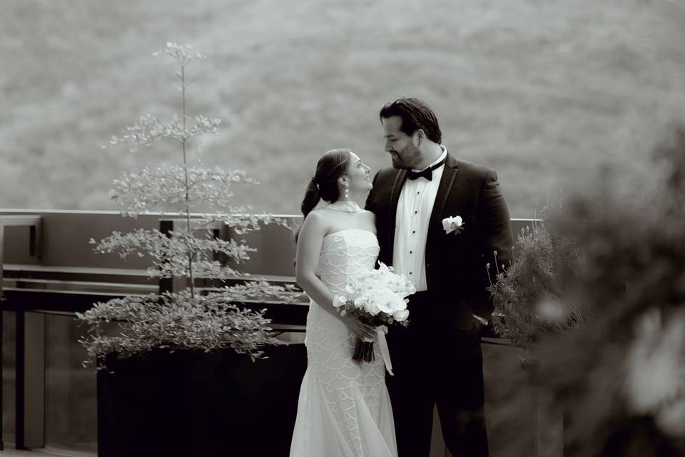Aylin & Aldo  Monarca Eventos