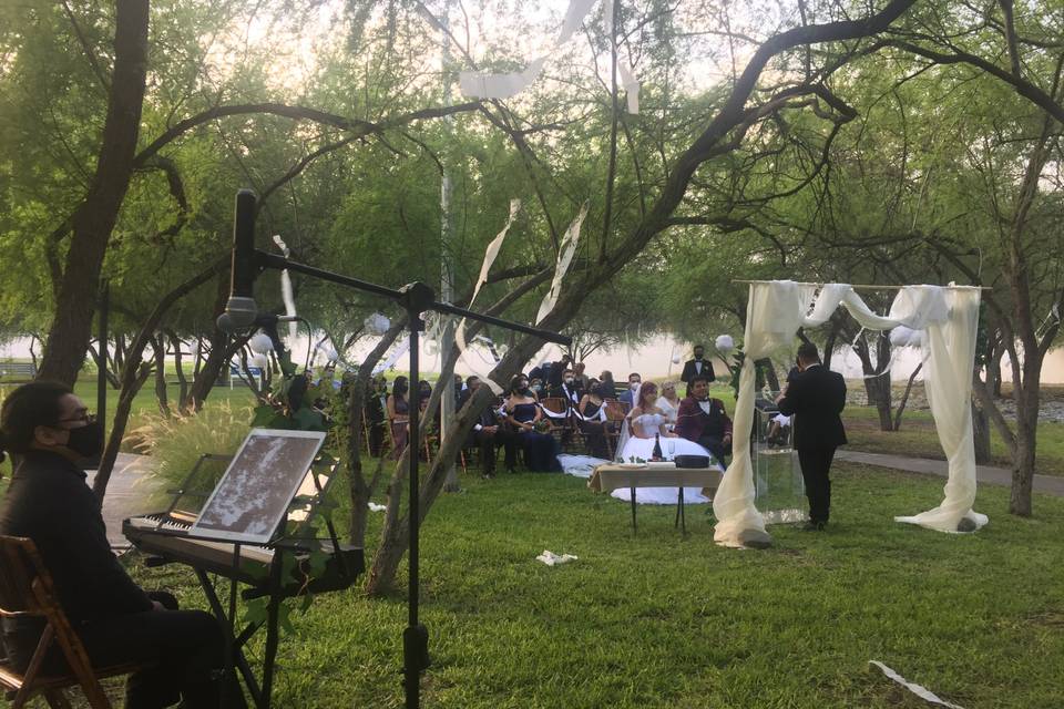 Música para boda en jardín