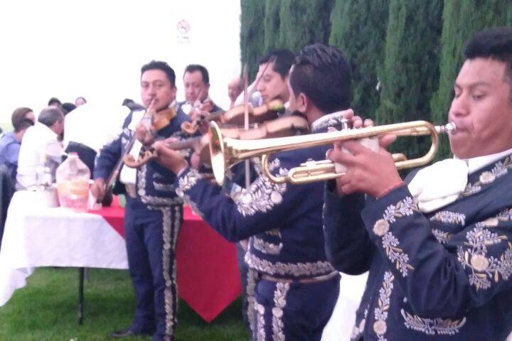 Mariachis camacho