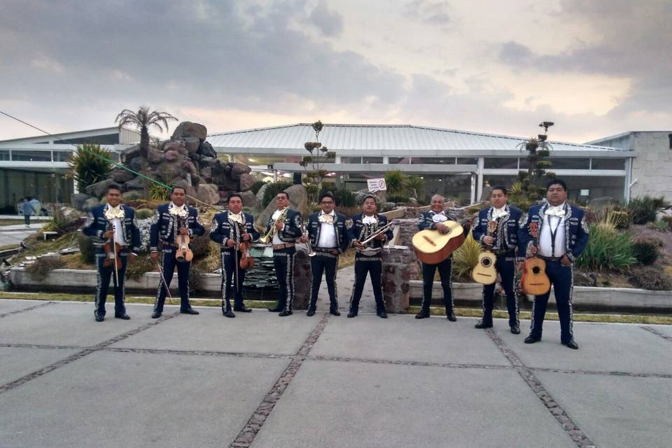 Mariachis profesionales