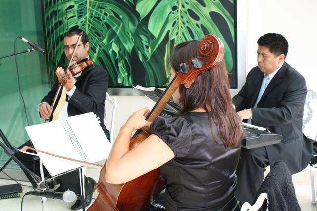 Música, elegancia y vanguardia