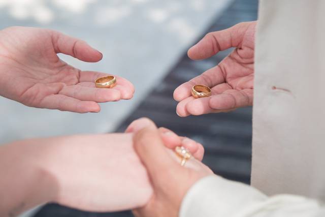 Anillos