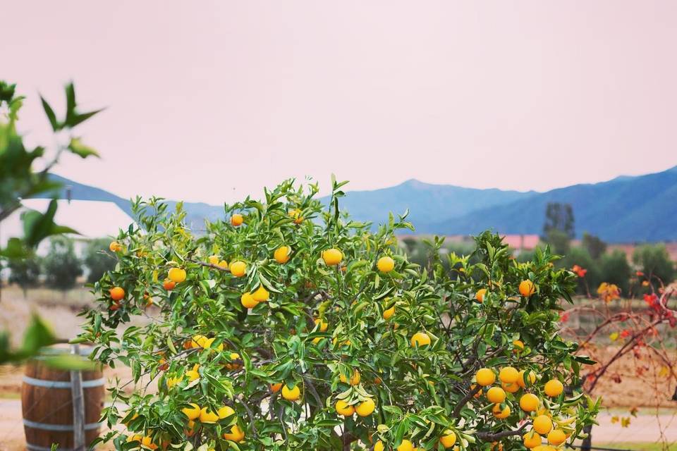 En'kanto