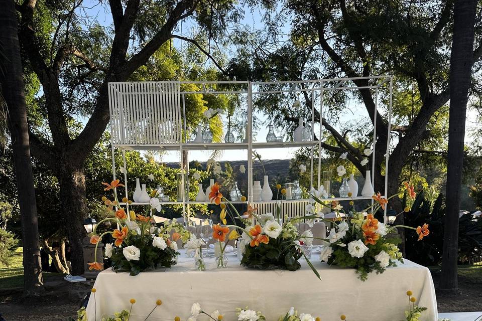 La boda de Andrea & César