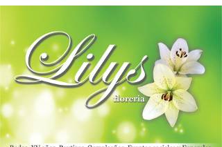 Floreria Lilys