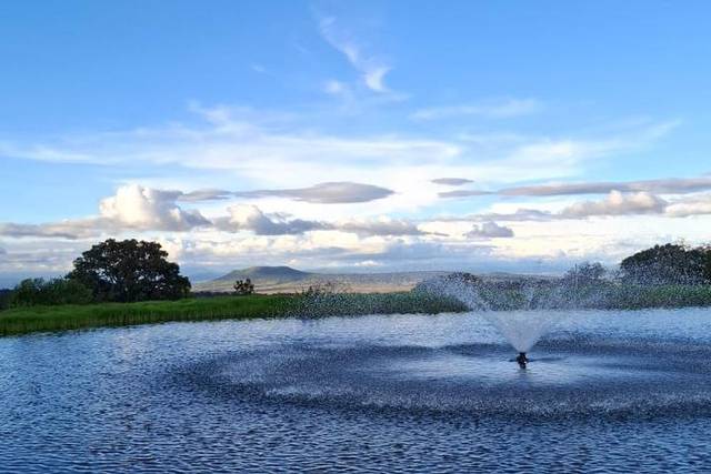 Fuente del Lago