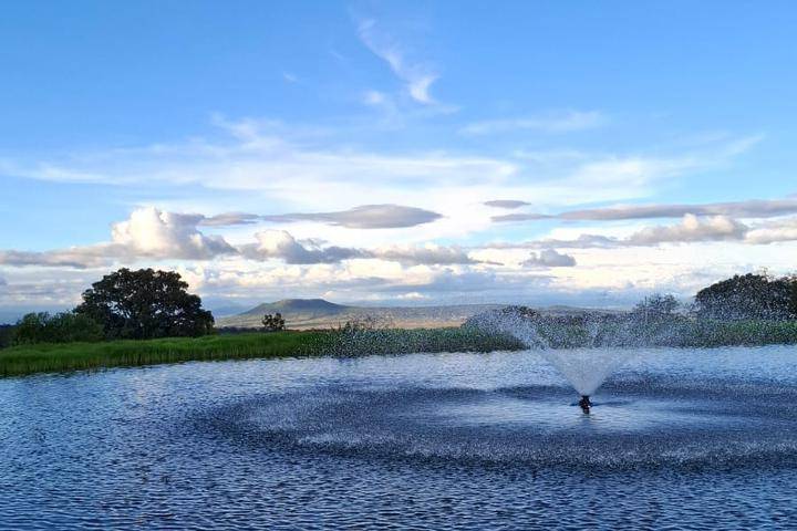 Fuente del Lago