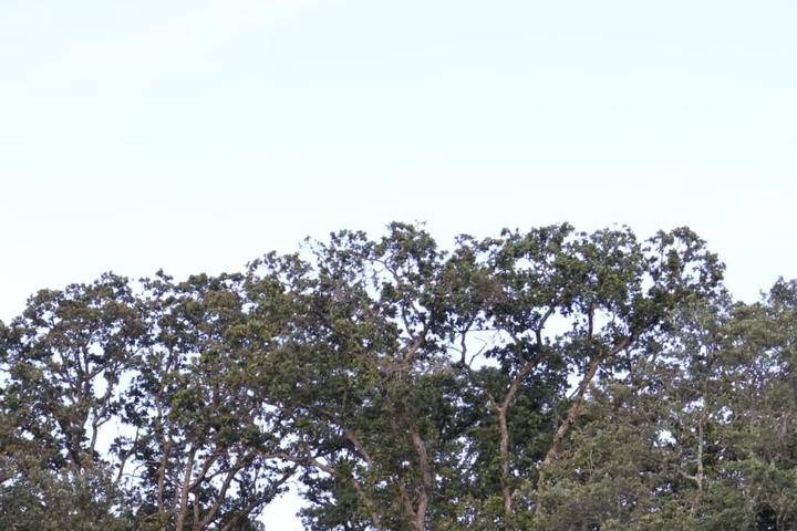 Senderos