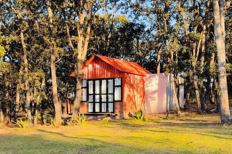 Glamping