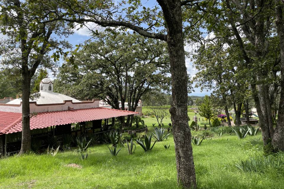 Salón de vinos y cocina