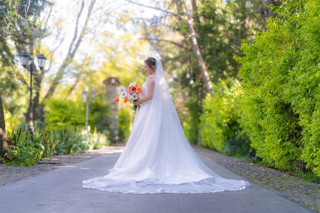 Wedding day