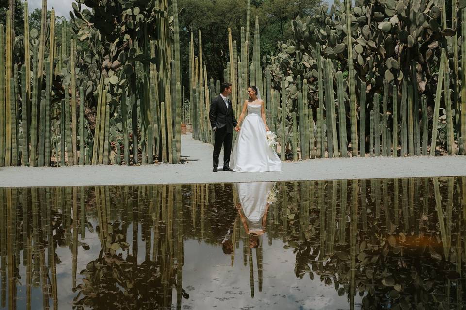 Novios