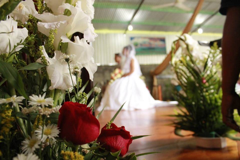 Cobertura de la boda