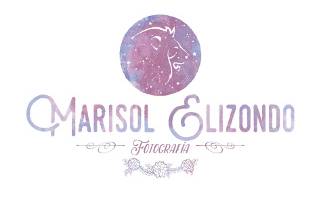 Marisol Elizondo Fotografía Logo