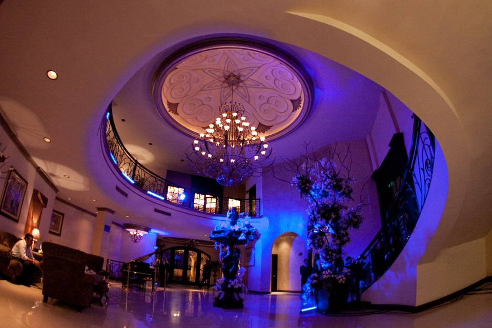 Amplio lobby