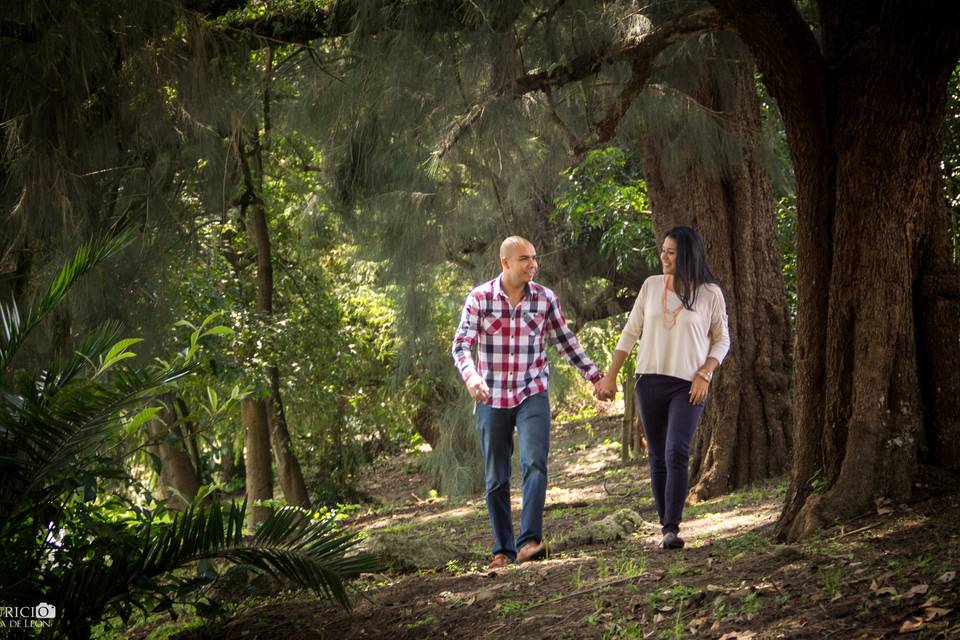 Engagement session