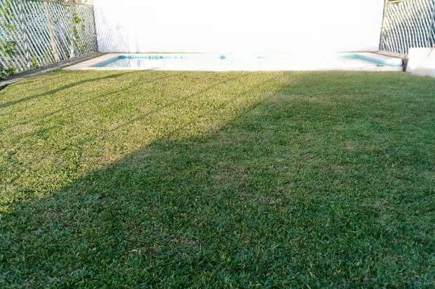 Zona verde