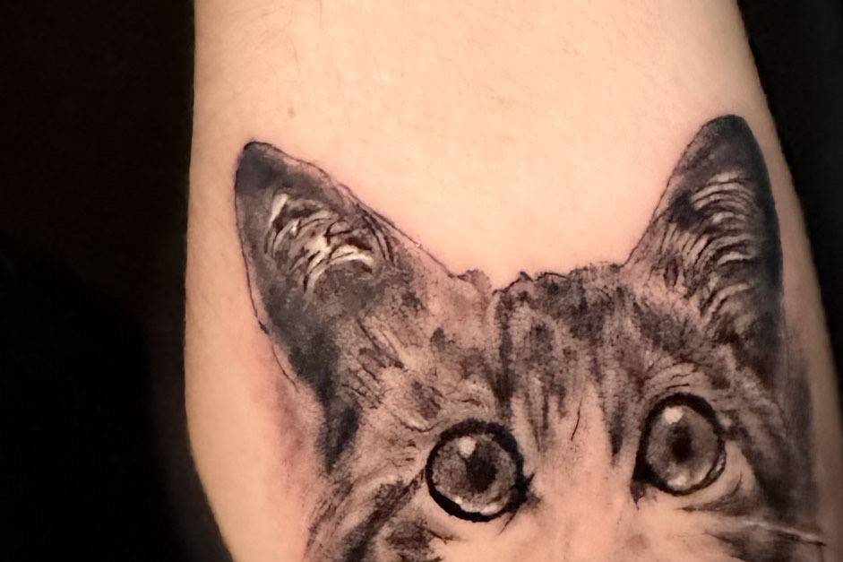 Tatuaje de gato