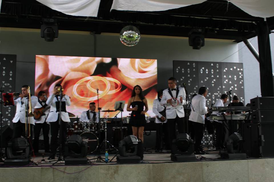 Grupo Musical Gitanos