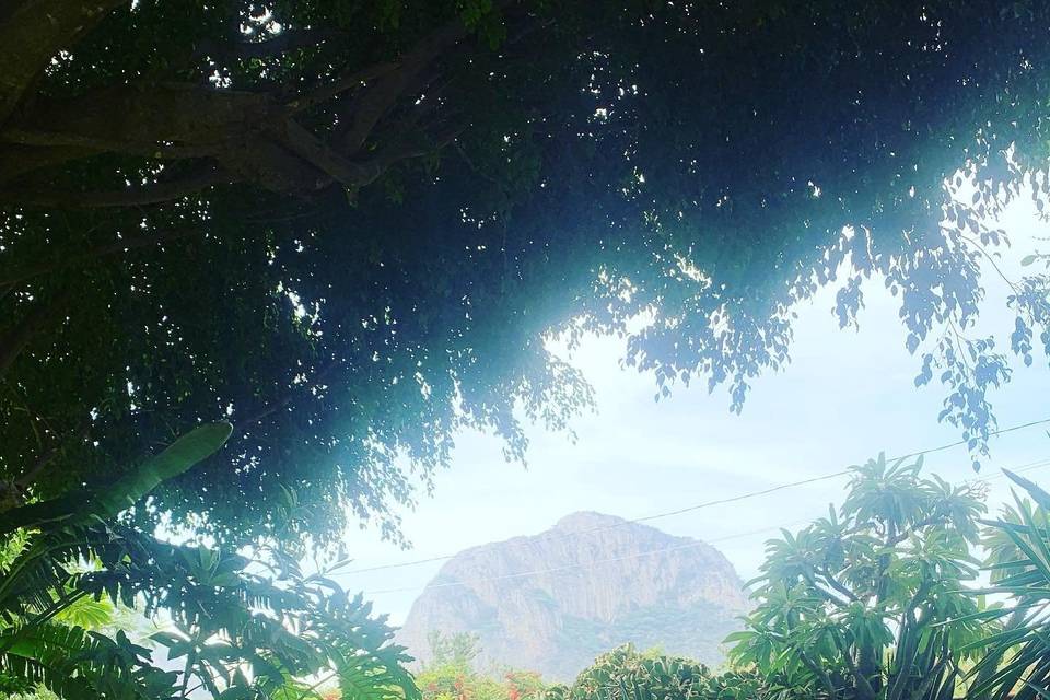 Vista al jardín con las montañas de fondo