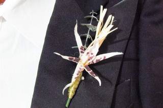 Boutonniere Gea