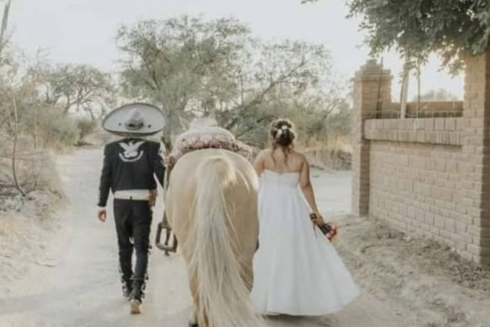 Boda