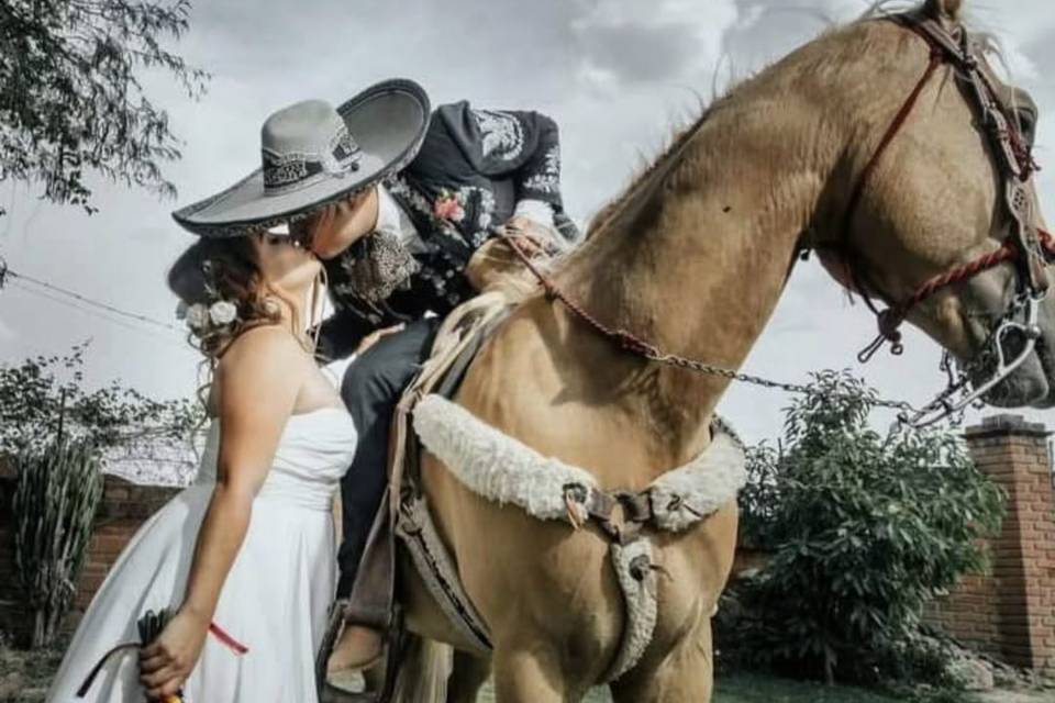 Boda