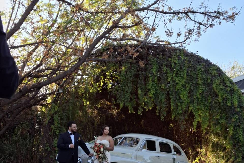 Boda ByD