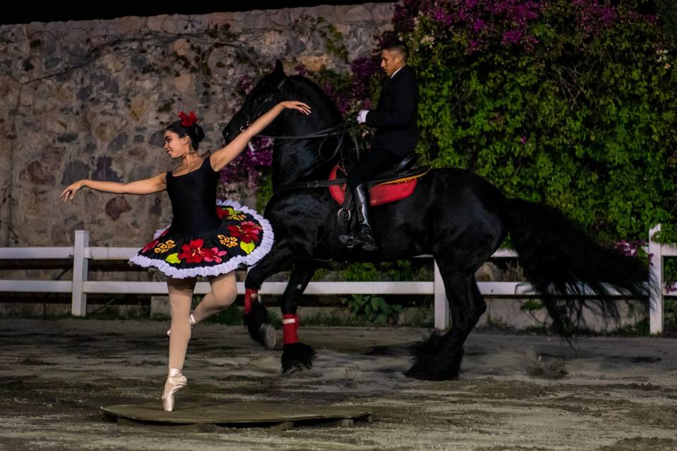 Hacienda Real Puebla