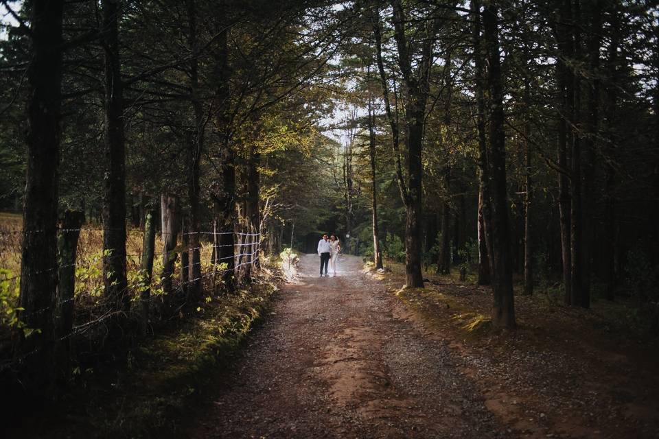 In the woods