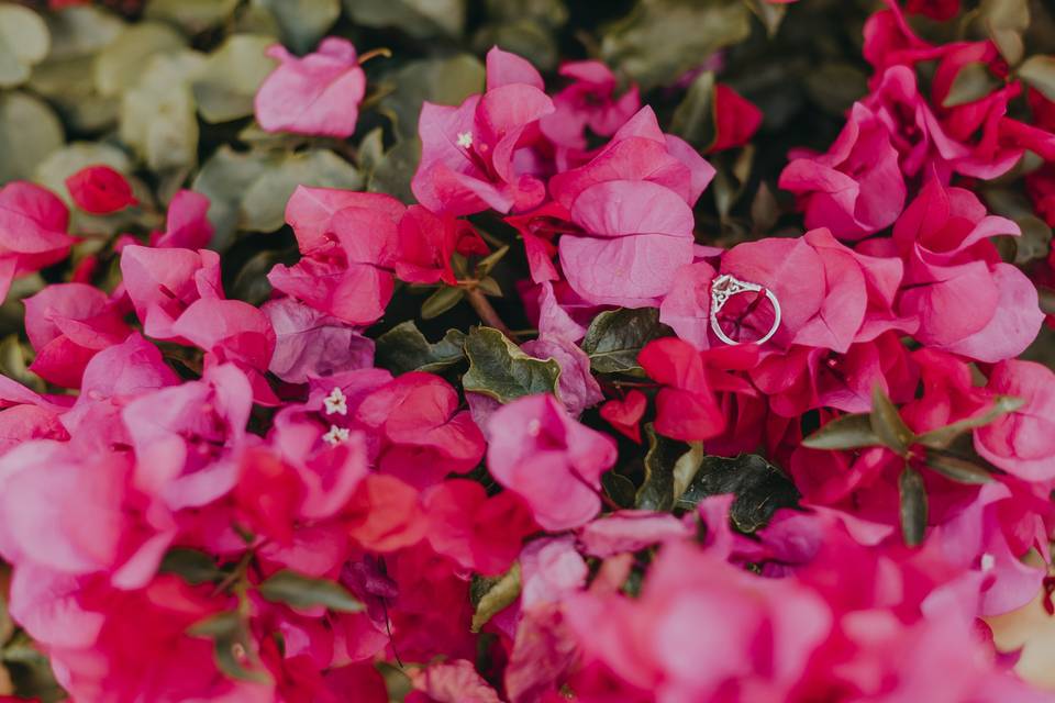 RING & FLOWER