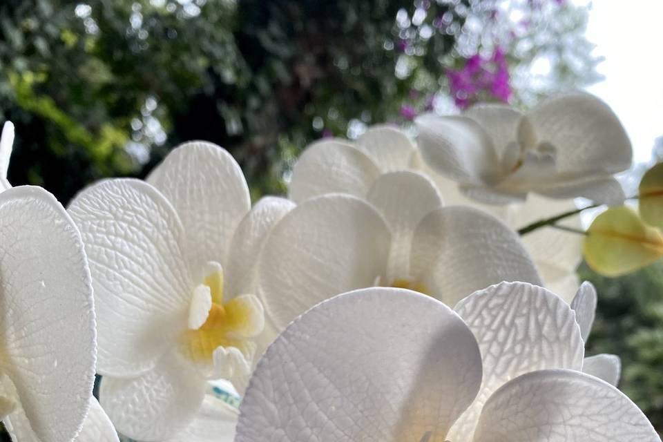 Pastel con orquídeas