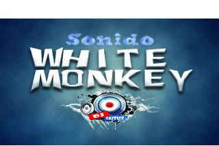 White Monkey logo