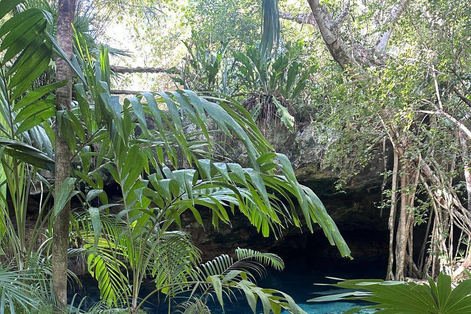 Cenote principal
