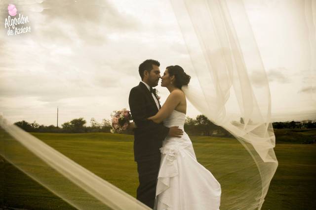 Novios