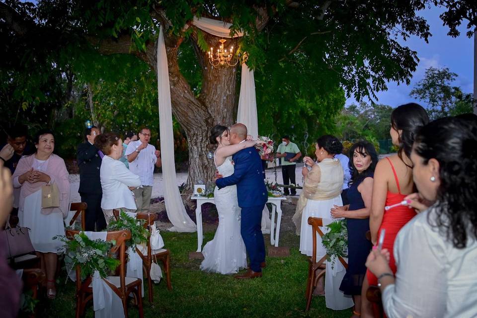 Bajo el árbol