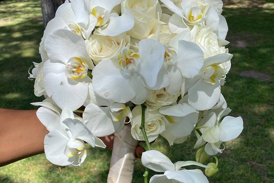 Bouquet de Orquídeas