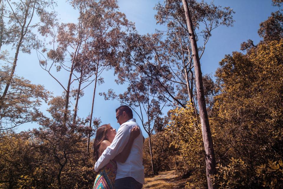 Abrazados en el bosque