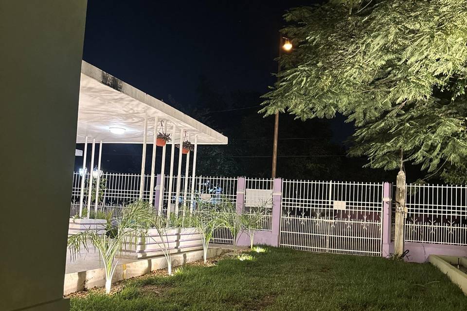 Botánica de noche jardín later
