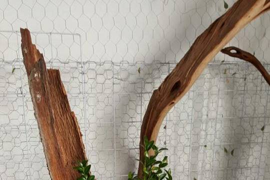 Florería Ixtlixochitl