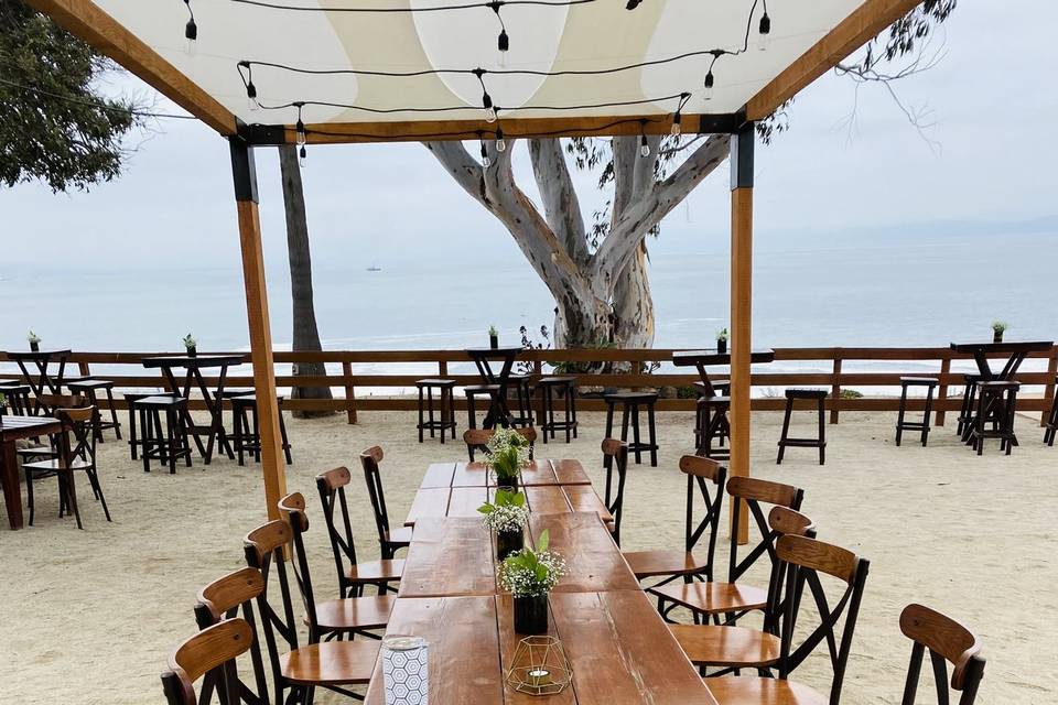 Patio Aves del Paraíso