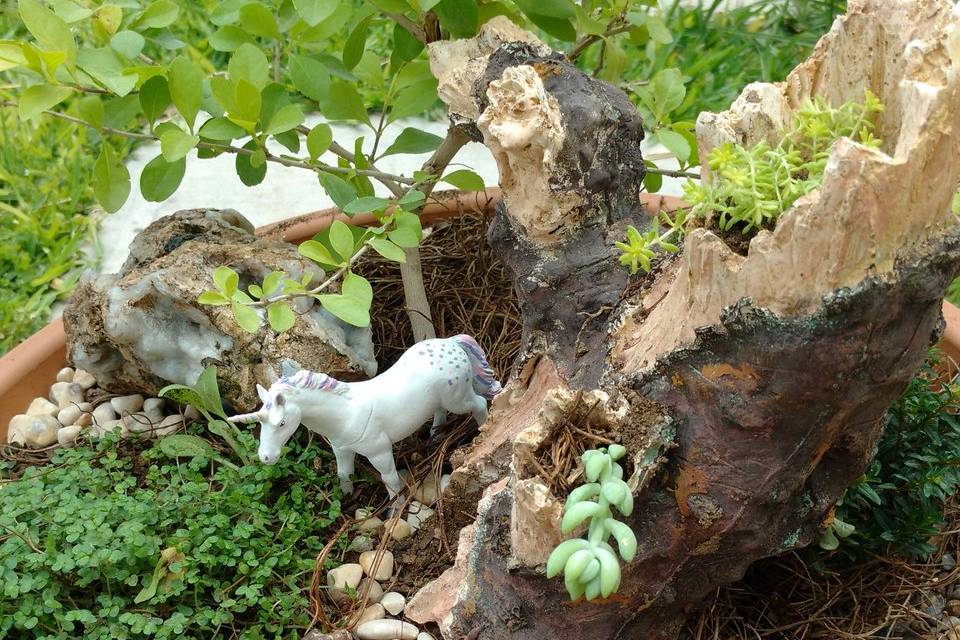 Jardines miniatura