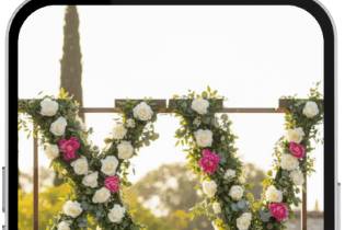 XV años