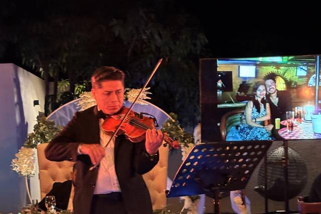 Violin solista