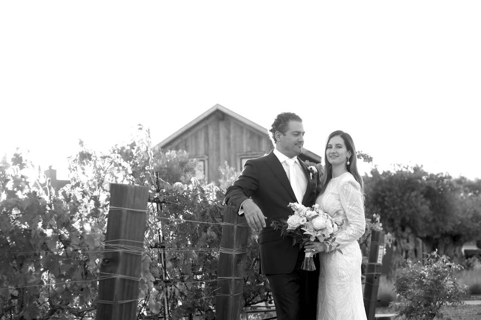 Boda, Napa Valley