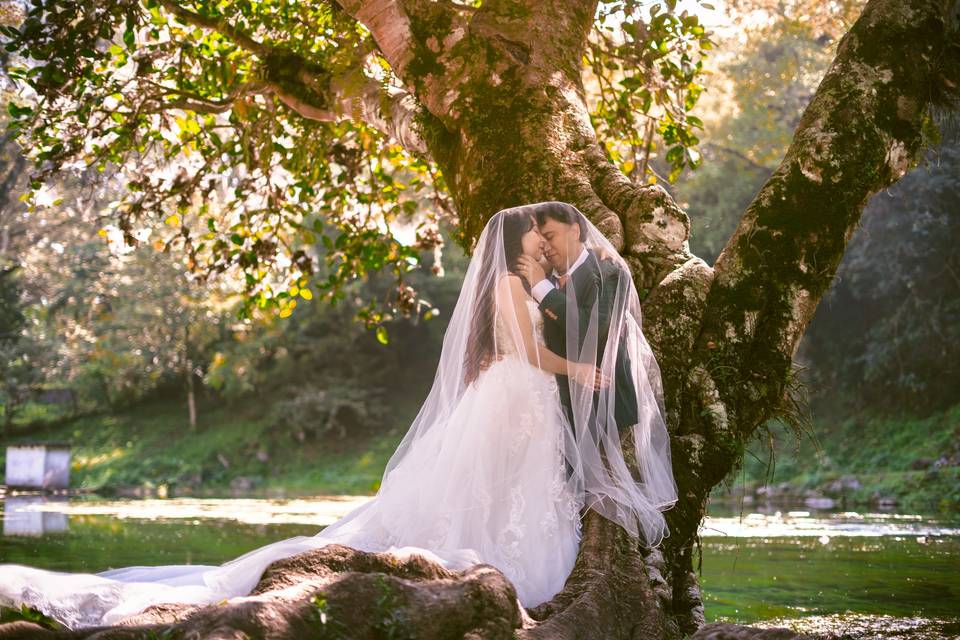 Fotografós de boda Veracruz