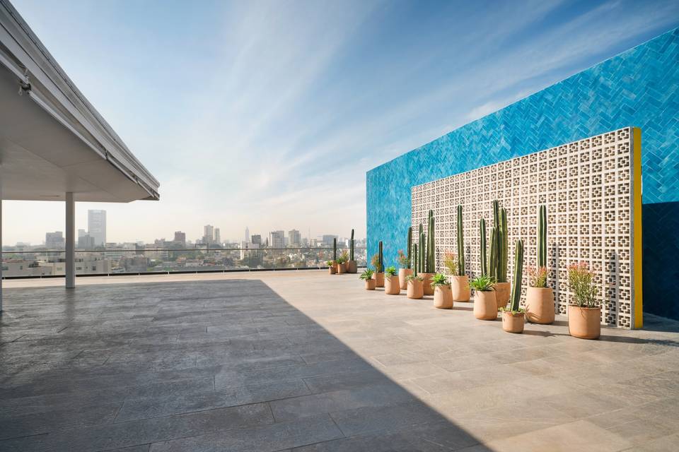Roof top