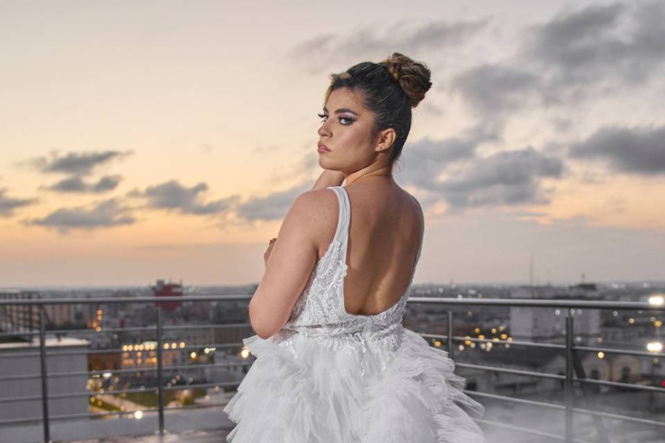 El vuelo de la novia