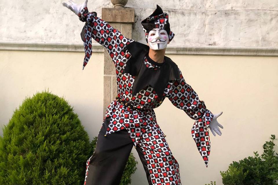 Zanquero arlequin